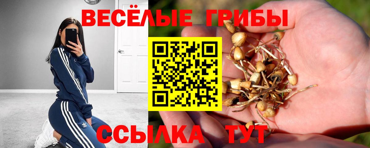Саратов  цена   Вход с VPN  Псилоцибиновые грибы прущие грибы 